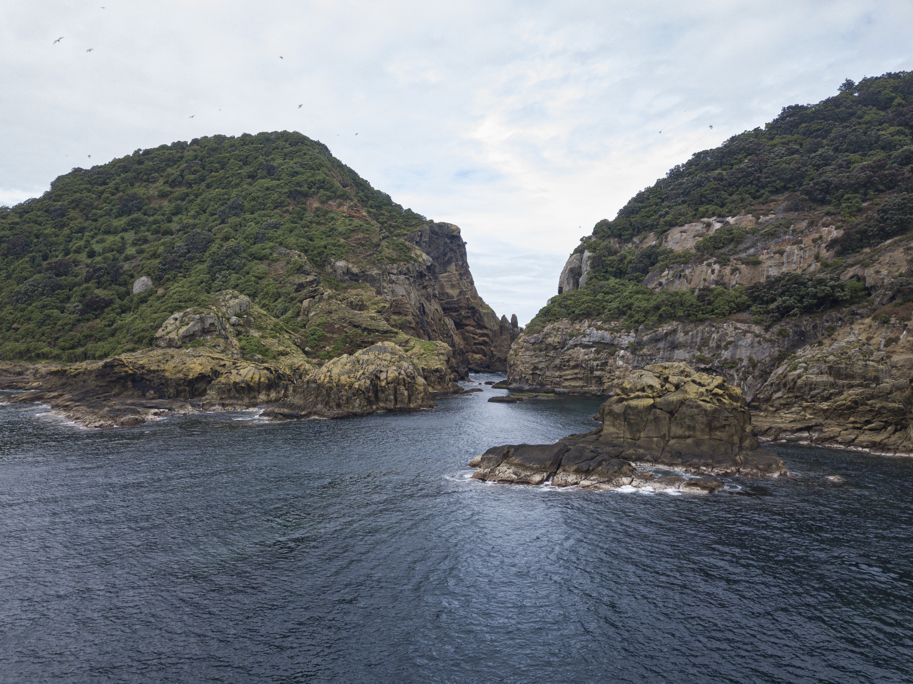 DJI_0023 (2)
